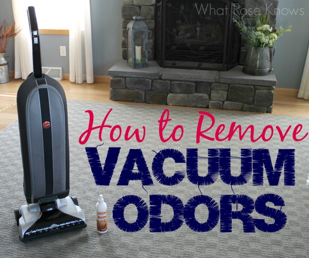 Vacuums and Carpet Pads - Secrets to Making Your Carpet Last